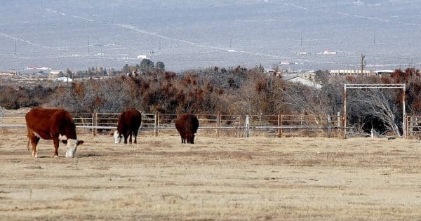 Rural Pahrump Valley