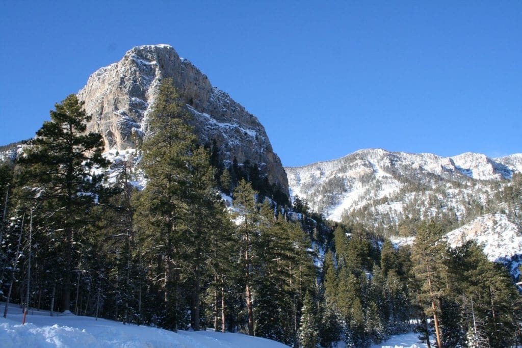 Mount Charleston Property For Sale / RE/MAX List For 1