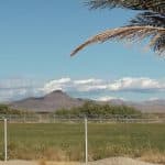 acreage for sale