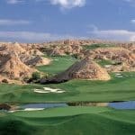 Sun City Mesquite RE MAX Realtor