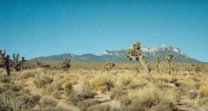 Pahrump Land for Sale