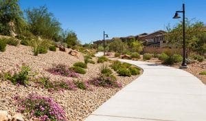 Affinity Summerlin Homes for Sale 300x176 1