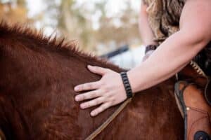 Horse Properties with Zoning in Las Vegas