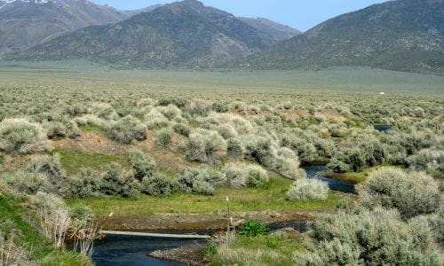 Nevada Land for Sale