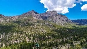 89124 Zip Code Real Estate