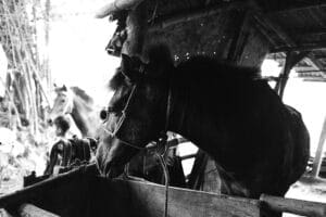 Land with water rights