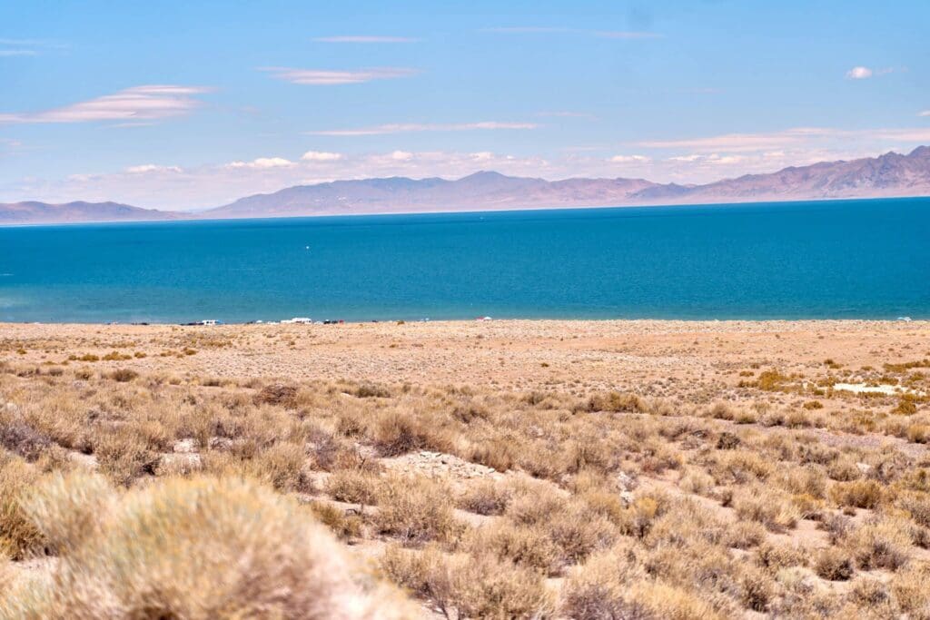 Logandale Nevada Real Estate / RE/MAX List For 1