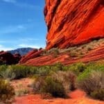 Fire Ecology Hiking Trail