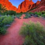 Red Rock Canyon Nevada Hiking Trails