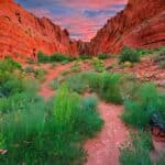 Red Rock Canyon hikers of all ages