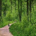 South Oak Creek Hiking Trail