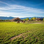 specialized equestrian websites