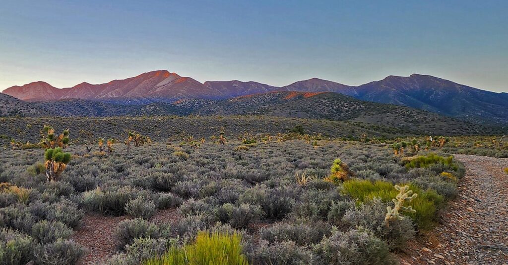 Mount Charleston Real Estate
