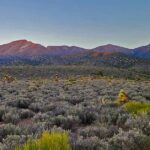 Mount Charleston Real Estate